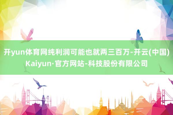 开yun体育网纯利润可能也就两三百万-开云(中国)Kaiyun·官方网站-科技股份有限公司